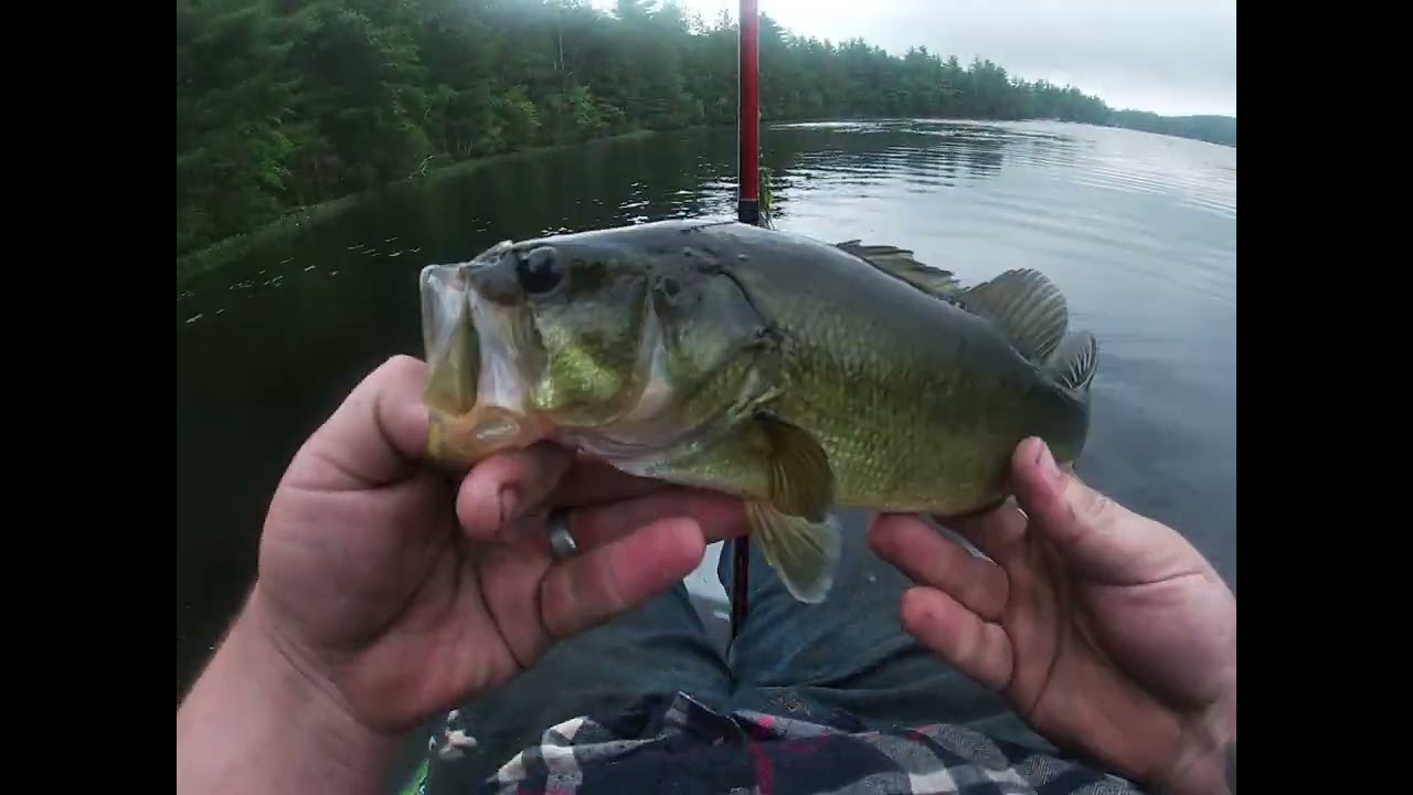 New Hampshire Bass Fishing 2024