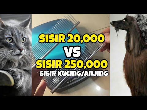 Video: Furminator Untuk Kucing: Kebaikan Dan Keburukan, Cara Memilih, Apa Kelebihan Berbanding Sisir, Cara Menggunakannya Dengan Betul, Ulasan, Video