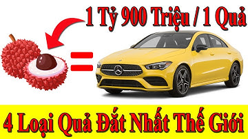 4 loại Quả đắt nhất thế giới - Vải Thiều Gia Lục giá 1 tỷ 9!!! TRI THỨC Official