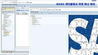 SAP SQL Command Editor - ST04