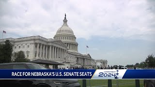 Nebraska US Senate race: Pete Ricketts facing challenger Preston Love