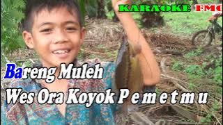 Pingen Ngombe By Didi Kempot | Versi Style Manual || KARAOKE KN7000 FMC