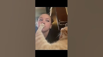 Thumbnail of Last Cat Is Gonna Ruin Marriages | Cats Love There Owners