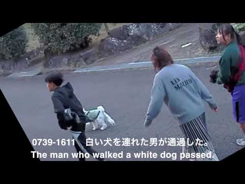 2023_1209　城ヶ崎別荘地内の不穏な雰囲気