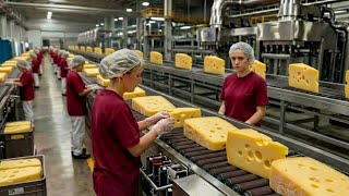 Inside a Modern Cheese Processing Plant: It's Quite Surprising (The Entire Process)