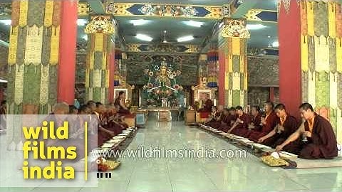 Buddhist monks pray during an evening congregation at Mindrolling Monastery