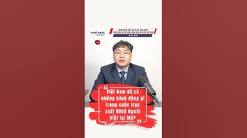 Việt Nam Nhận Ai, Bỏ Ai Trong 8000 Người Gốc Việt Bị Trục Xuất? | 8000 Deported Vietnamese Americans