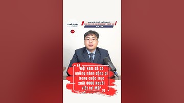 Việt Nam Nhận Ai, Bỏ Ai Trong 8000 Người Gốc Việt Bị Trục Xuất? | 8000 Deported Vietnamese Americans