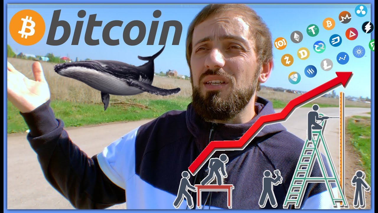 ⁣КРИПТА ЧТО СДЕЛАЕТ ВАС МИЛЛИОНЕРОМ В 2019 | Cамые перспективные криптовалюты