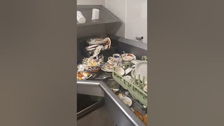 One of the world's fastest dishwasher