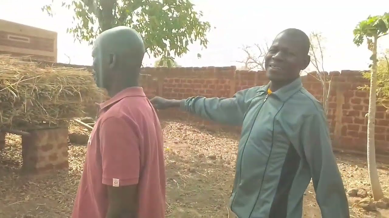 Gestione Progetto Allevamento e colture