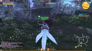 RaiderZ EU Bot attack
