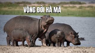 Vong Doi Ha Ma Ga Khong Lo Tham Lang Cua Dong Song Chau Phi