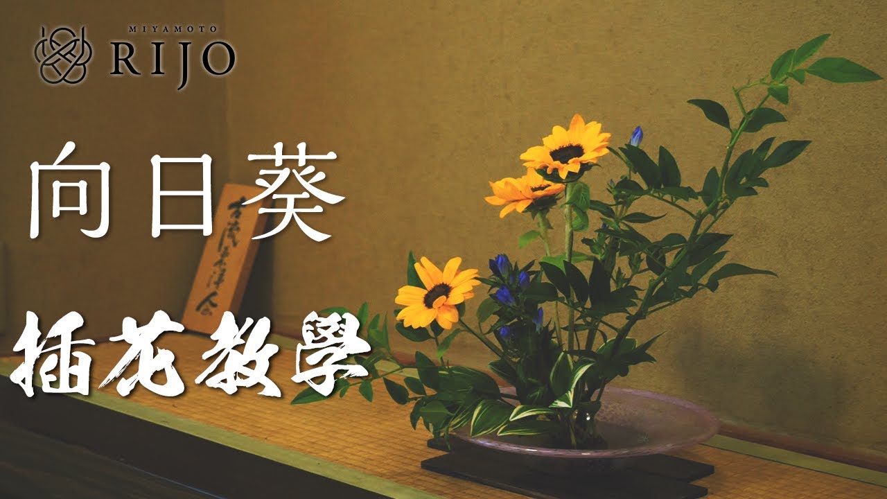 插花教學｜花藝課程｜用向日葵做插花 簡單易懂的插花教學 日本花道 花藝