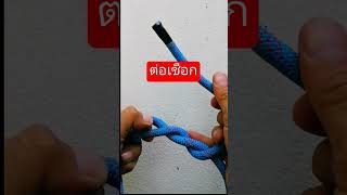 ตอเชอก กเชอก ดเชอก