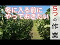 いちじくVlog #53 冬に入る前に行いたい5つの作業 SEASON3