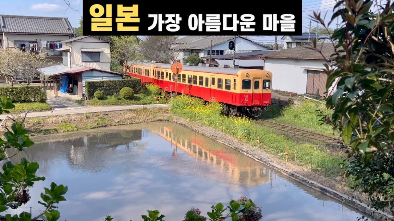 도쿄 NEW 근교 여행ㅣ코미나토•이스미 철도 여행ㅣ小湊鐡道・いすみ鉄道で房総半島横断