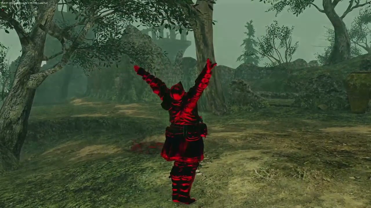 Zweihander + Sunlight Blade Invasions | Dark Souls 2 PvP