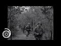 1st Cavalry Division Training Camp, Australia (1944) | World War 2 | US Army footage