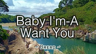 Video thumbnail of "Baby I'm - A Want You - KARAOKE VERSION - Bread"