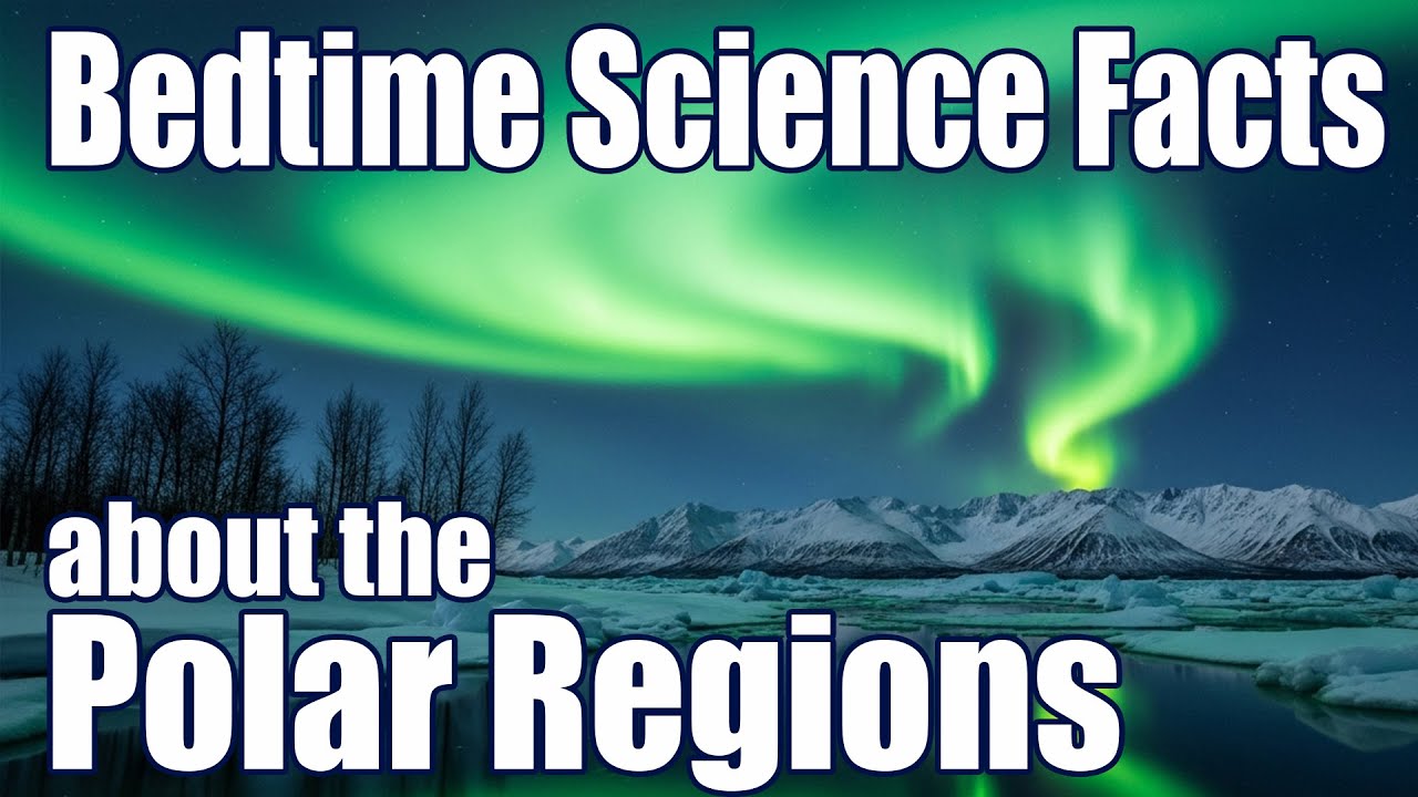 Bedtime Science Facts About The Polar Regions to Fall Asleep To | Sleepy Science