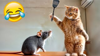 IMPOSSIBLE TRY NOT TO LAUGH 😂 Funniest Animals 2024 🐈😹