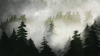 The Woods - 2018 Senior Thesis Film