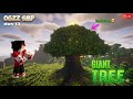 Making The Biggest tree in OGzz SMP 🤯 | Live Day 13