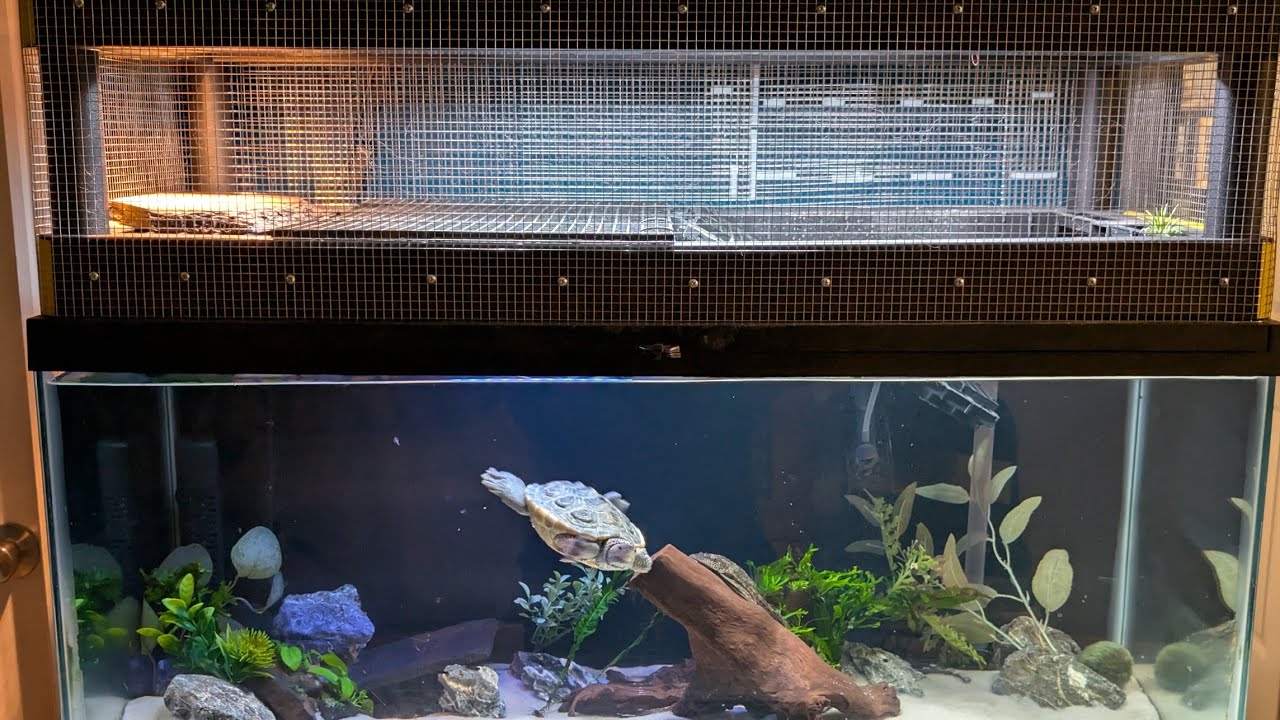 Gallery image with a fresh perspective