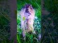 #белочка#фотосессия