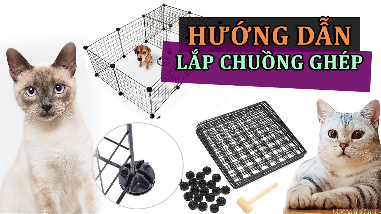Hướng dẫn lắp Chuồng ghép cho thú cưng | Cô Mèo Vui Vẻ - youtube