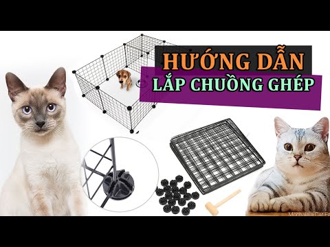 Video Hướng dẫn lắp Chuồng ghép cho thú cưng | Cô Mèo Vui Vẻ - youtube