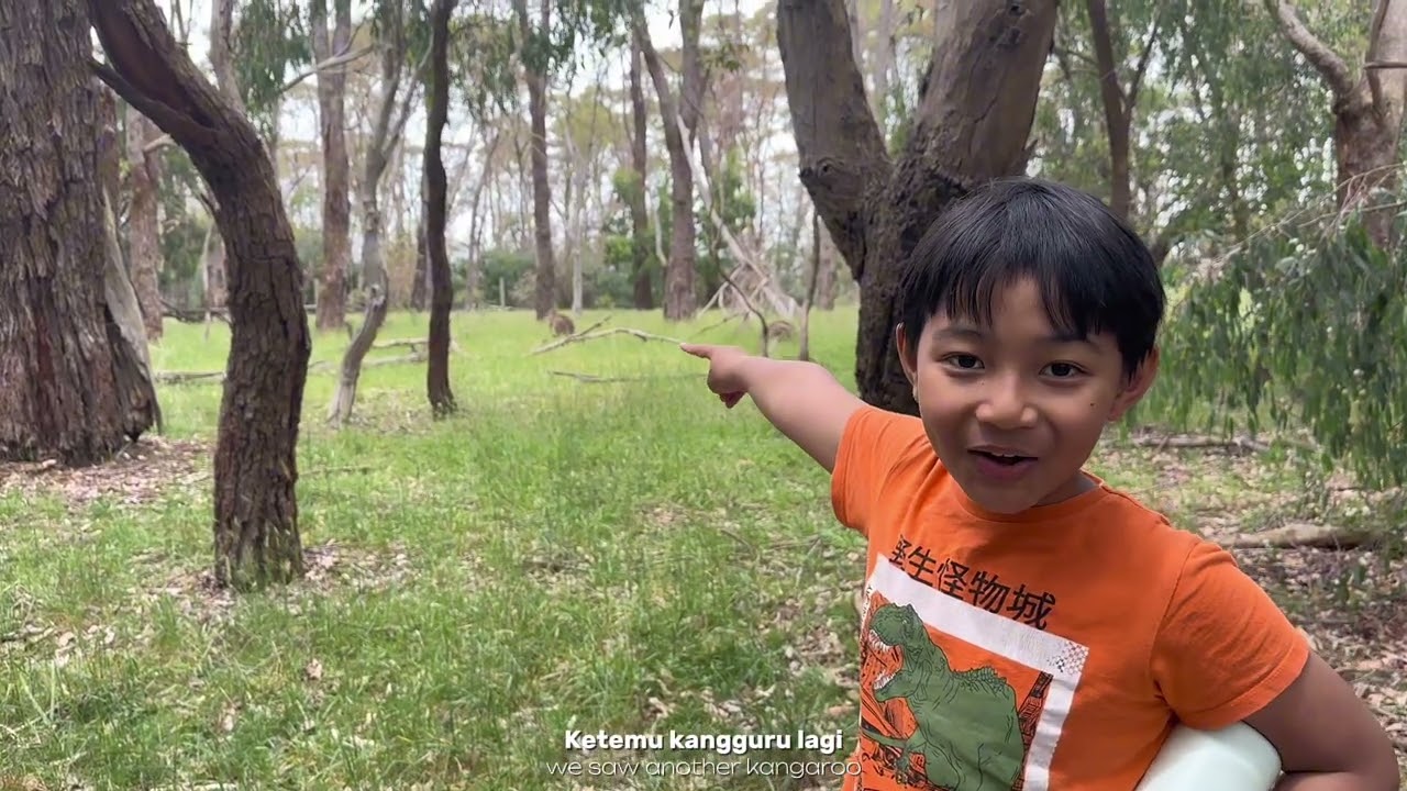 Mencari Kanguru Liar di Lysterfield Park. Looking for Wild Kangaroos at Lysterfield Park