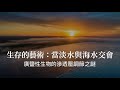 洄游於海水淡水的鮭魚如何調節生存
