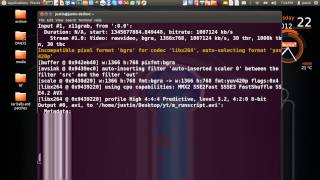 run a script in Linux Mint 13