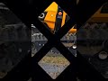 Manewry polowe z udziałem robota mulczujacego MCCONNEL na mazowszu.Sprawdz nasza ofertę robotów