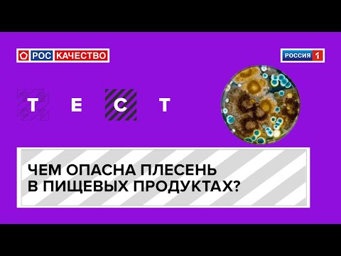 Чем опасна плесень в пищевых продуктах?
