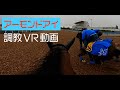 アーモンドアイ　調教VR動画（Almond Eye training video）