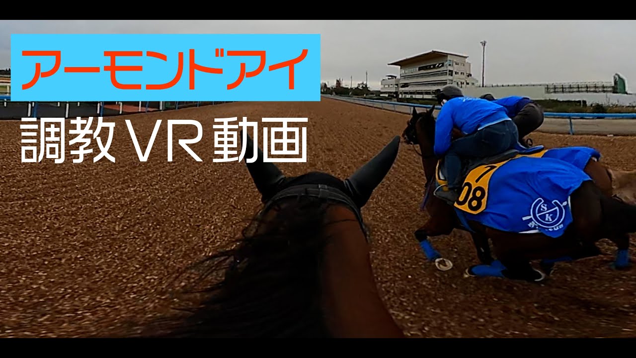 アドマイヤビルゴ 競走馬データtop 6月13日エプソムカップ G3 7着 競馬予想のウマニティ サンスポ ニッポン放送公認sns