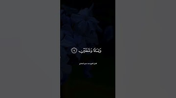 تلاوة خاشعة من سورة البلد | القارئ الشيخ محمد صديق المنشاوي #المنشاوي  #القرءان_الكريم