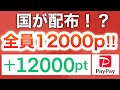 これ貰わないのは損すぎるでしょ…【PayPay】