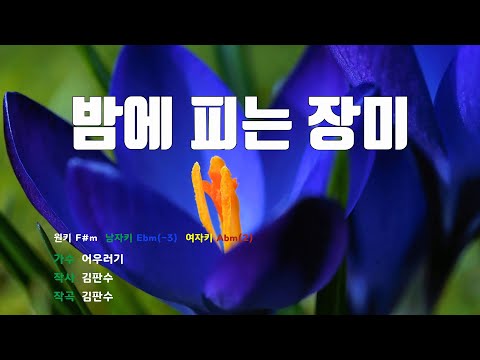 [은성 반주기] 밤에피는장미 - 어우러기