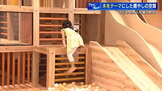 木の大型遊具で自由に遊べる「キオンド」サカスタ隣に誕生 木をテーマ