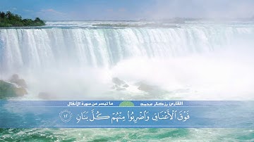 ما تيسر من سورة الأنفال بصوت القارئ رزكار محمد