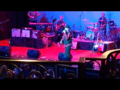Micky Dolenz - I'm A Believer (10-1-19)