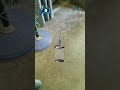 #trending #funny #video