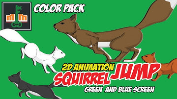 2D ANIMATION OF A SQUIRREL JUMPING COLOR PACK || GREEN AND BLUE SCREEN