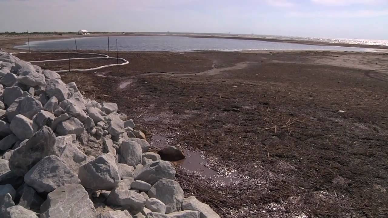 grassroots international A Jewel on the Coast: Elmers Island, LA After the Spill
