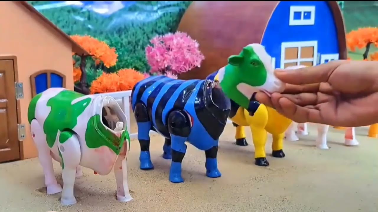 Simolasi proses potong sapi kurban - mencocokan kepala sapi