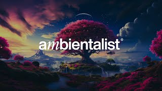 The Ambientalist - Memento